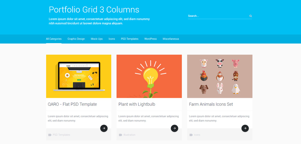 Portfolio