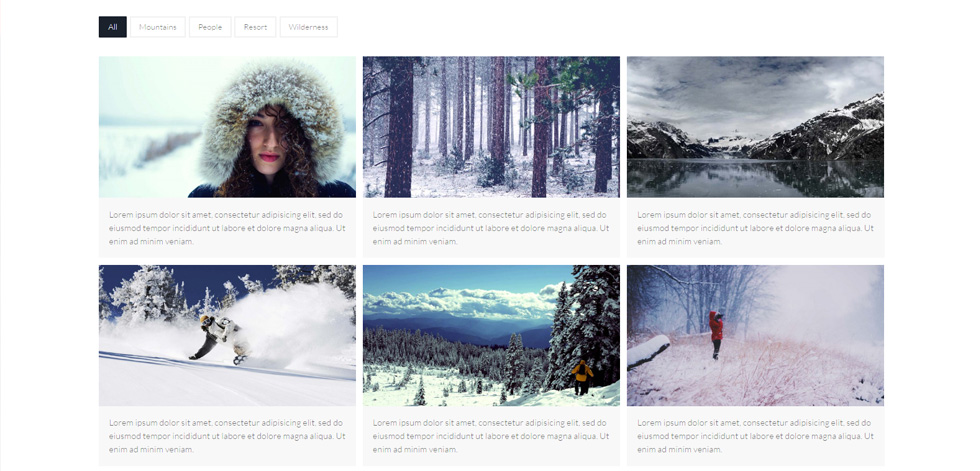 Portfolio