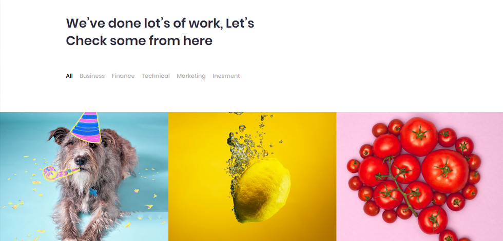 Portfolio
