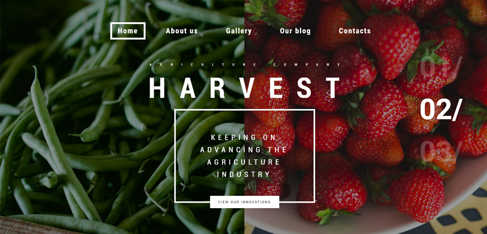 Home page