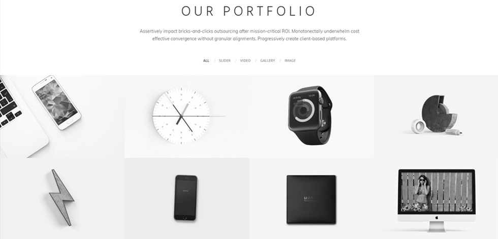 Portfolio