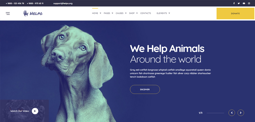 Home page