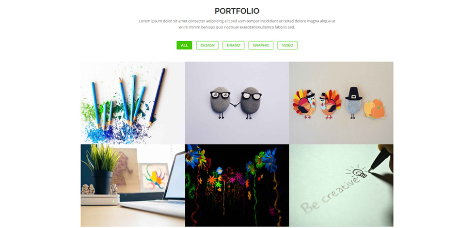 Portfolio