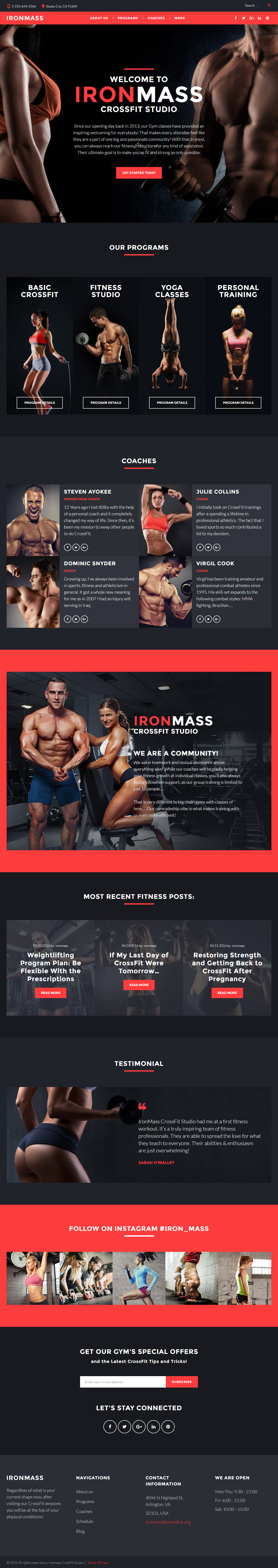 IronMass WordPress Drag and Drop Theme