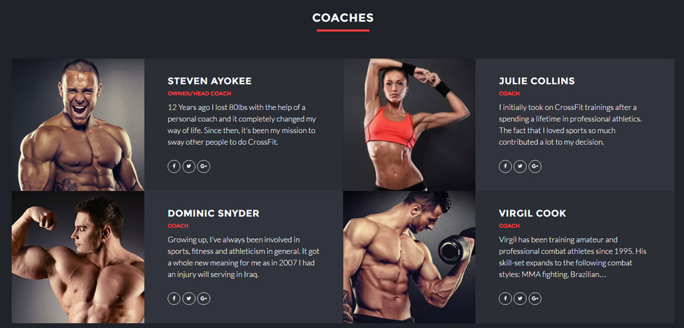 Coaches