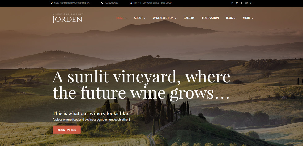 Home page