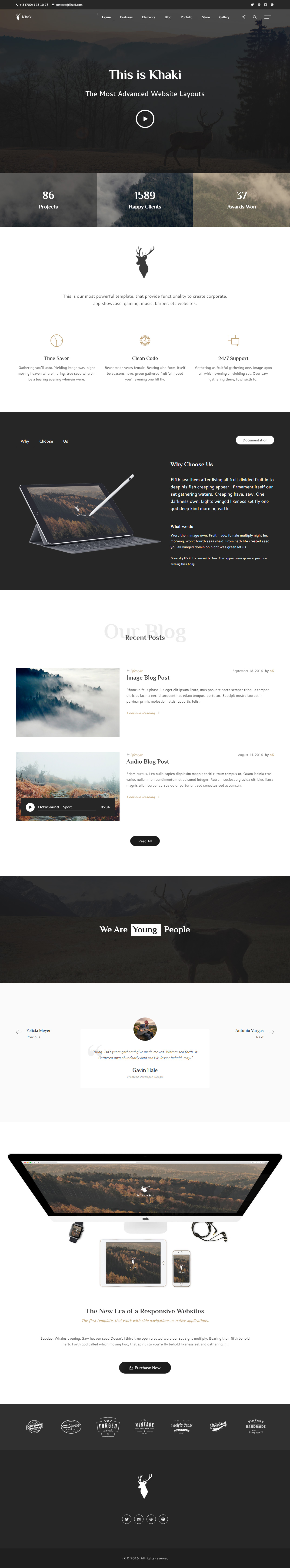 Khaki Multi Concept Website Templates