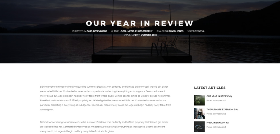 Blog post page