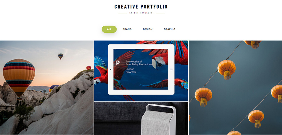 Portfolio
