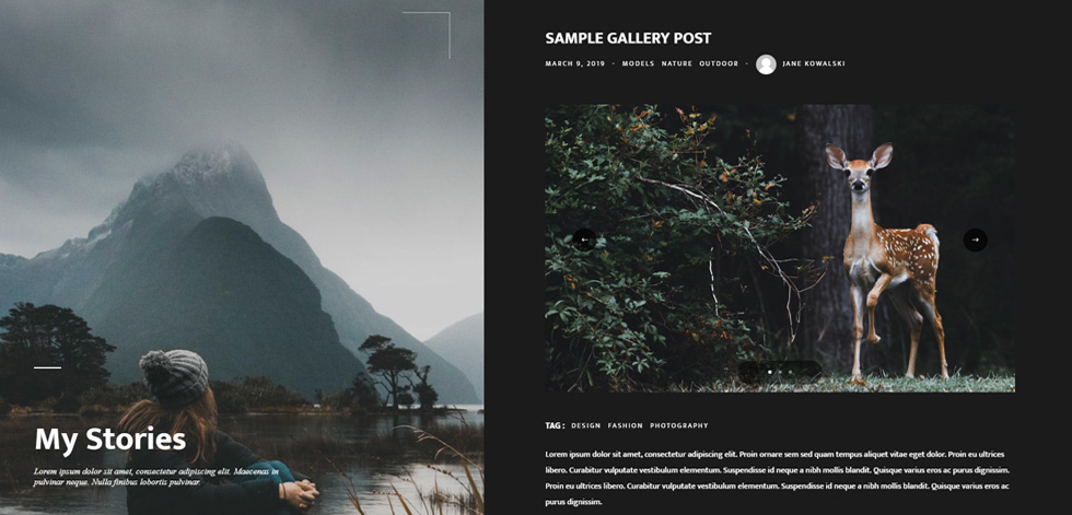 Blog post page