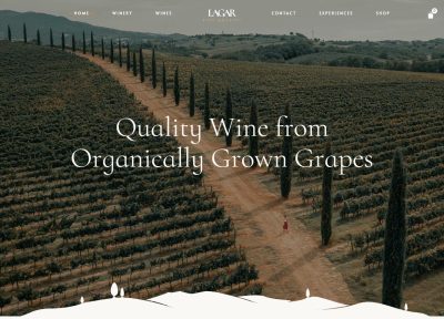 10+ Best Responsive WordPress Wine Themes 2020