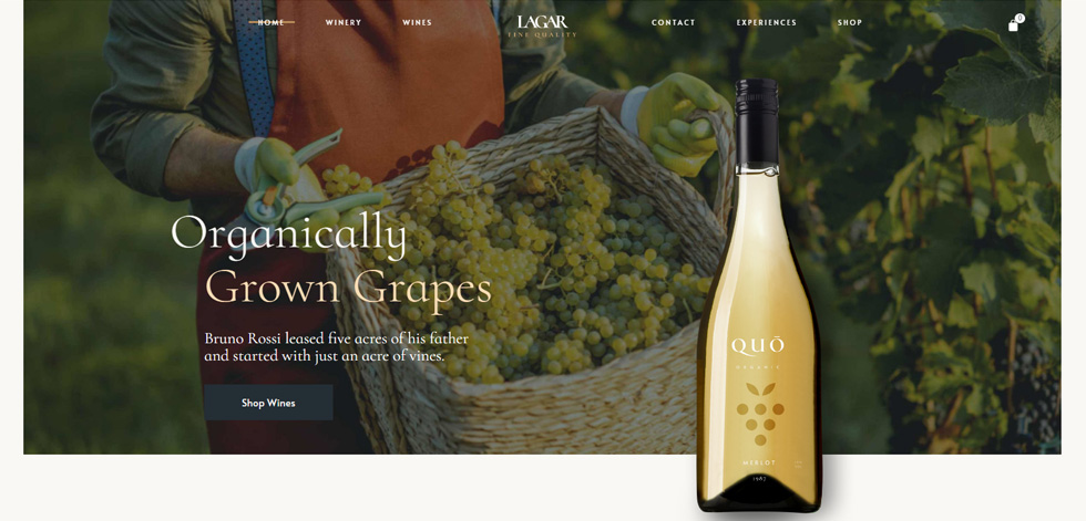 Home page