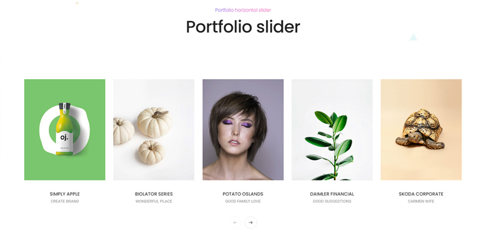 Portfolio