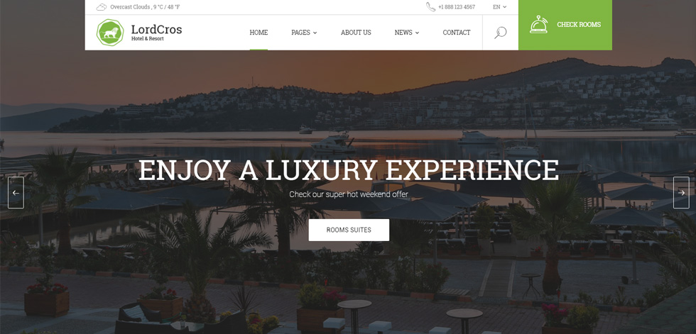 Home page