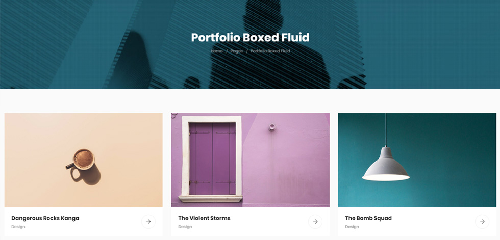 Portfolio