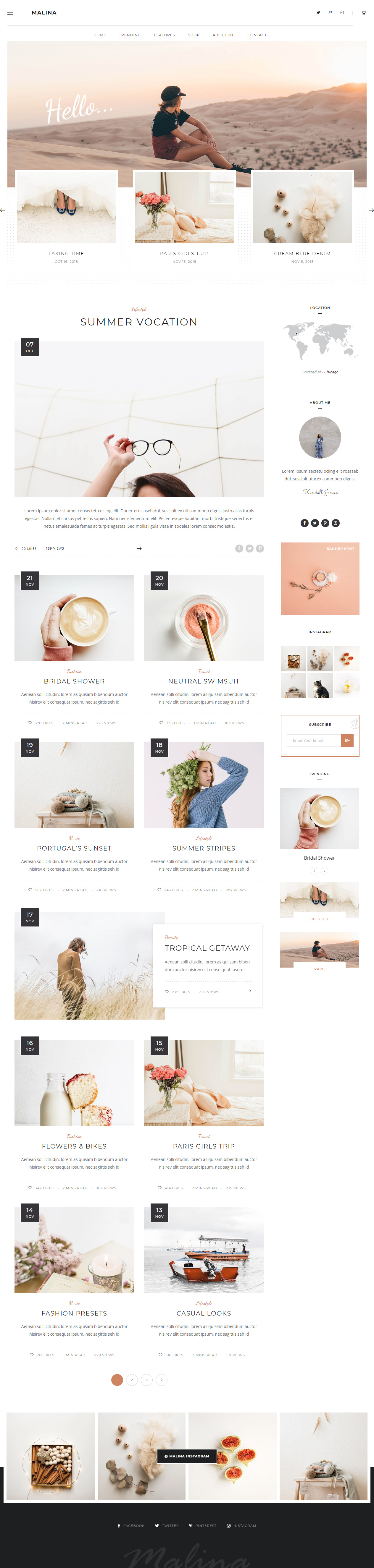 Malina Best Blog WordPress Themes
