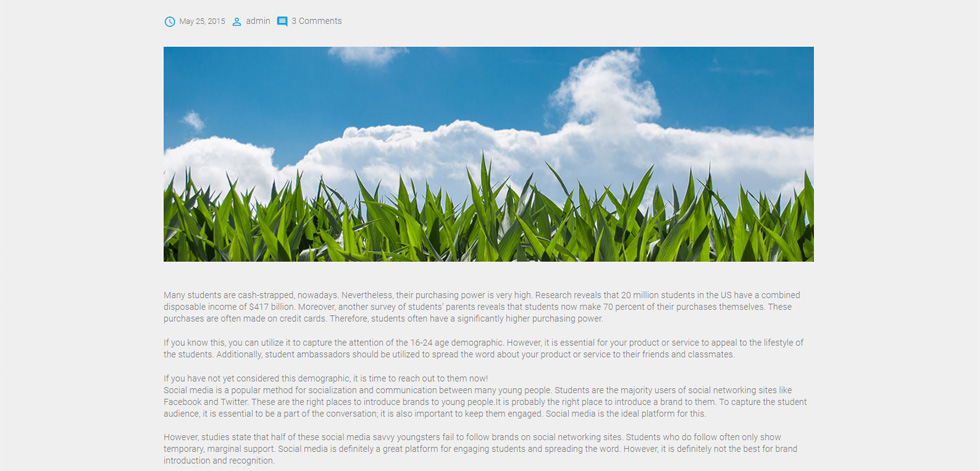 Blog post page