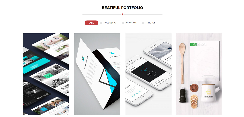 Portfolio