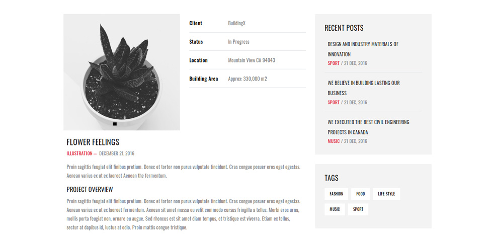 Portfolio single