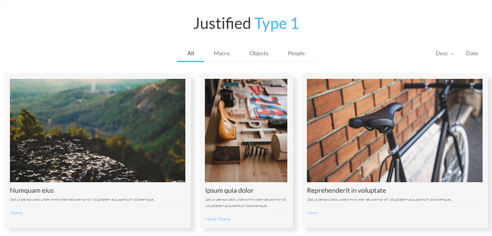 Portfolio