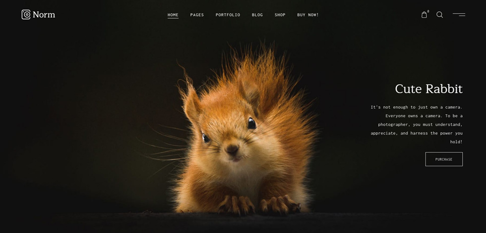 Home page