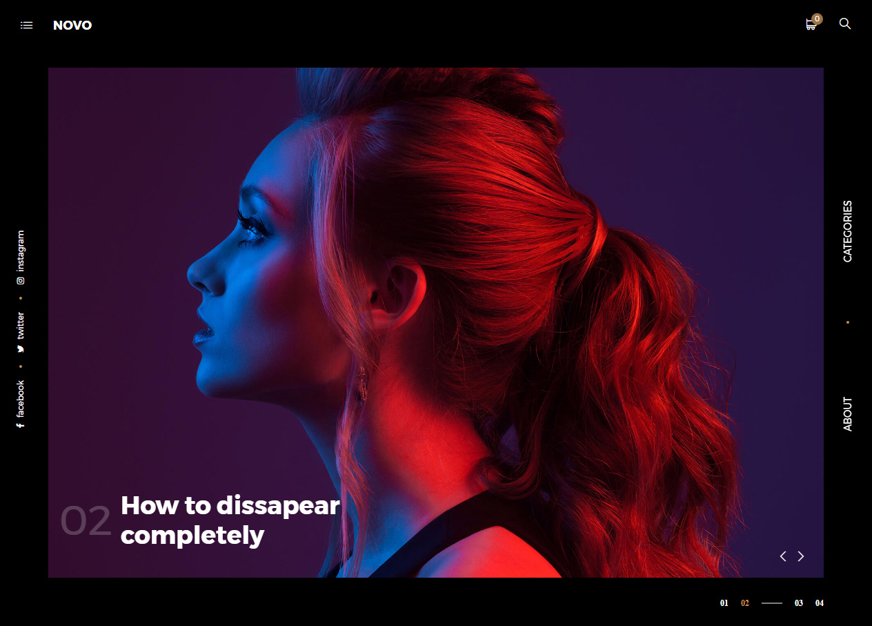Novo Best WordPress Photography Themes