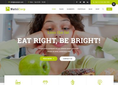 Best WordPress Nutrition Themes 2017