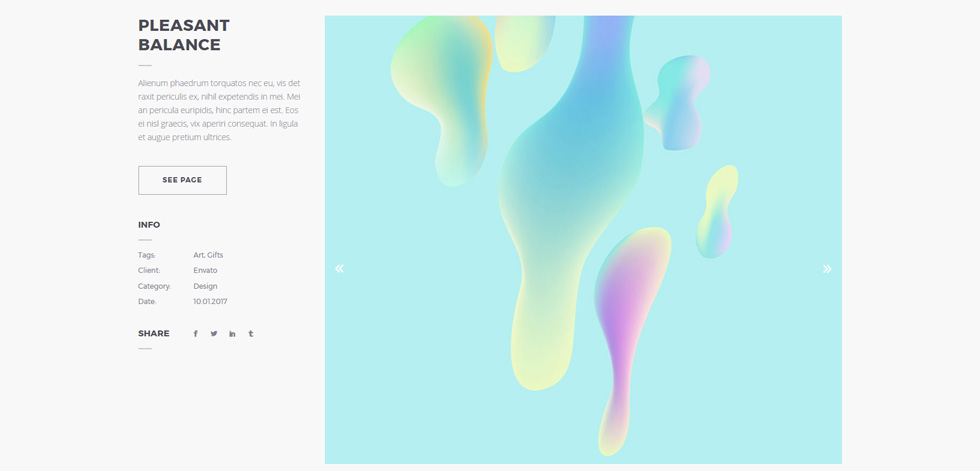 Portfolio single