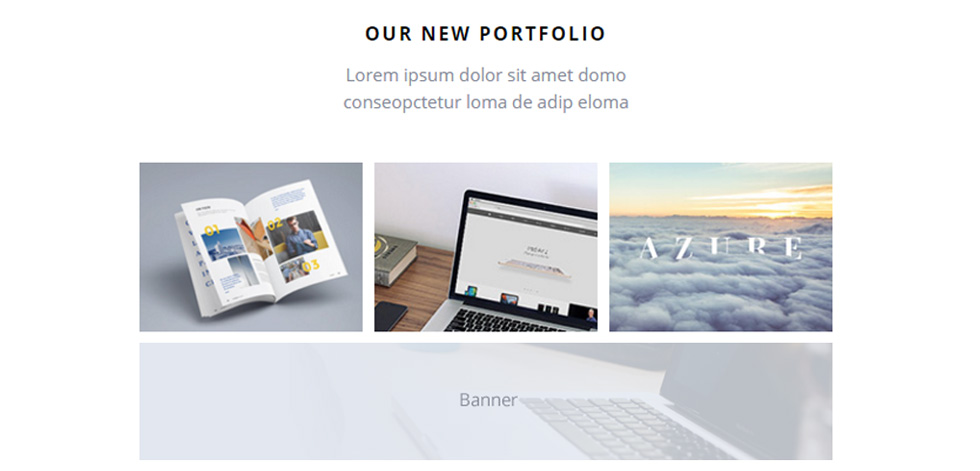 Portfolio
