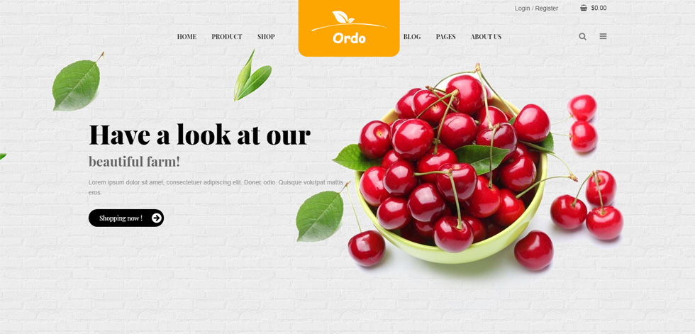 Home page