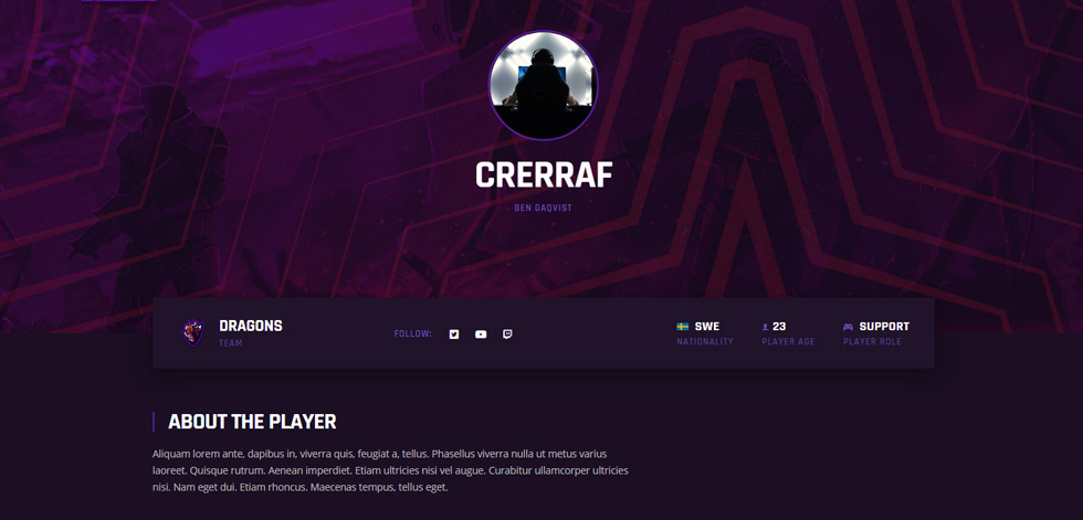 Player profile