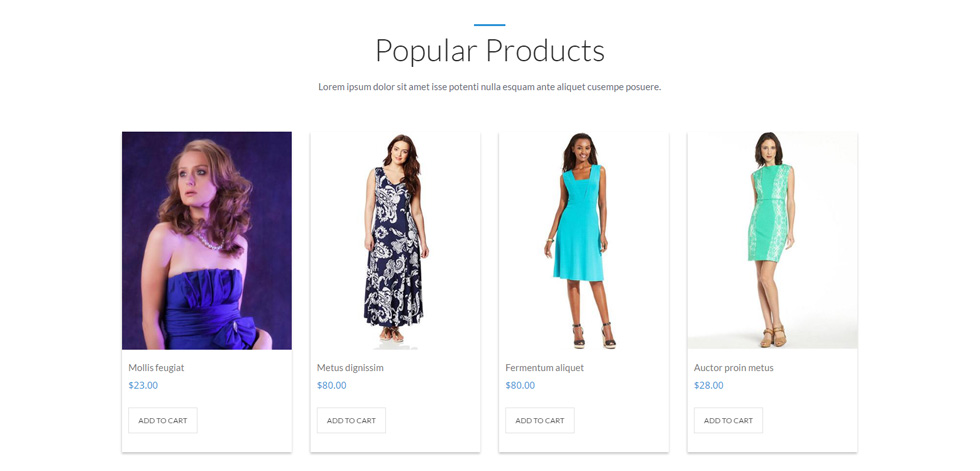 Shop page