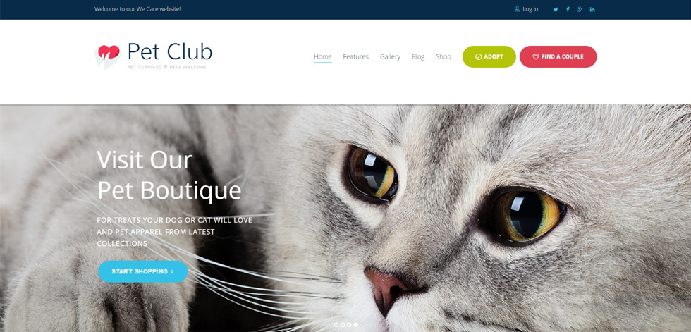 Home page