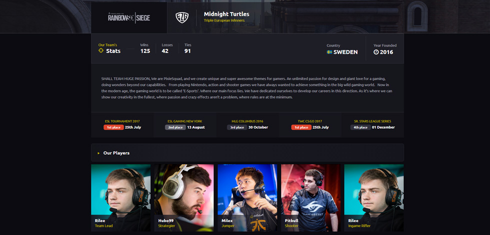 Team profile