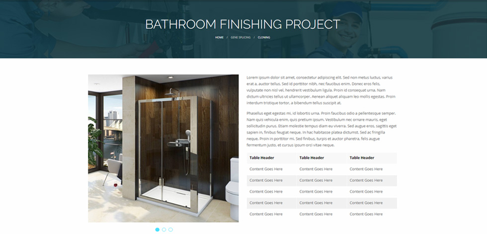 Project details