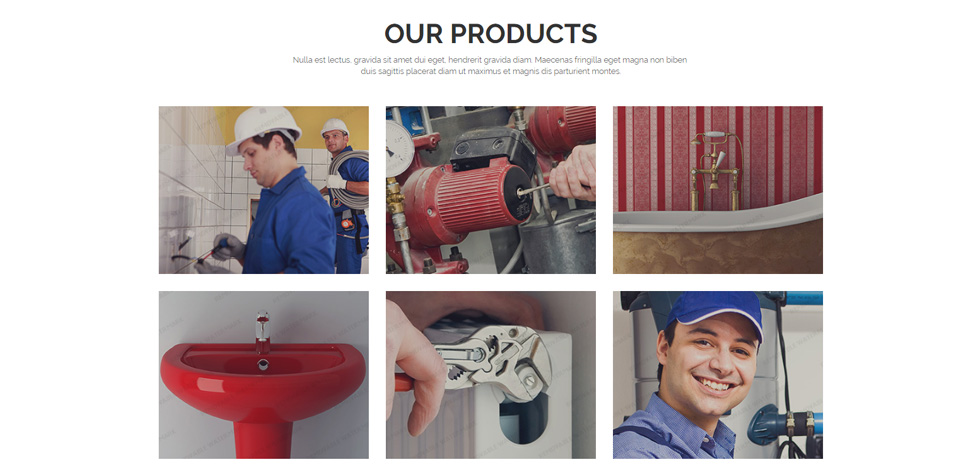 Products