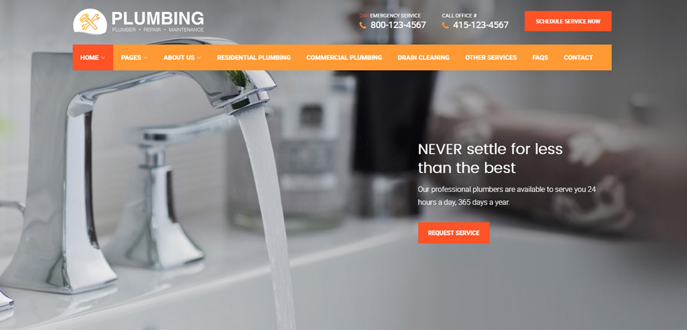 Home page