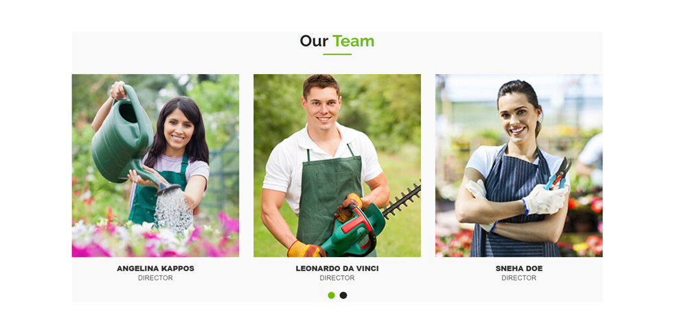 Team