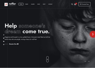 5+ Best NonProfit WordPress Themes 2021