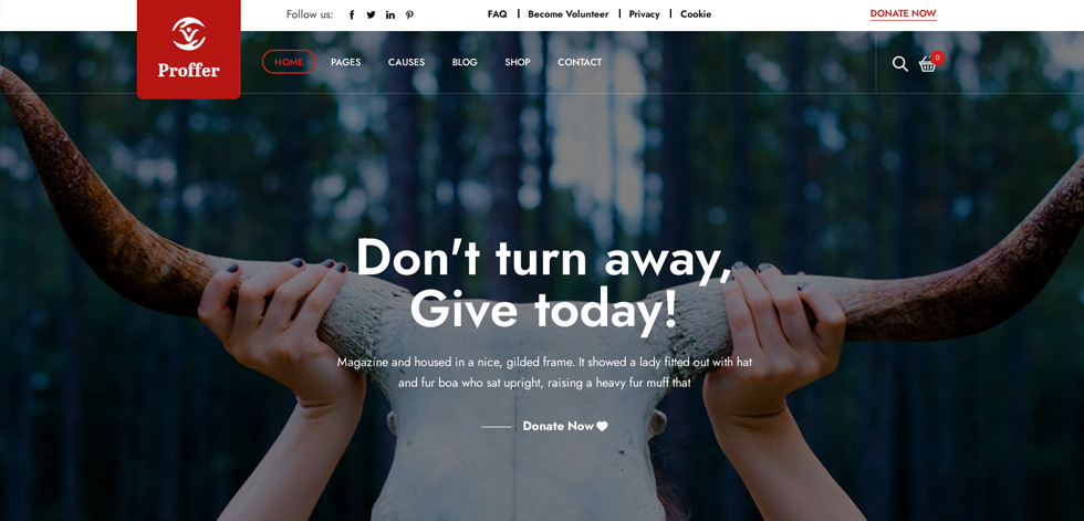 Home page