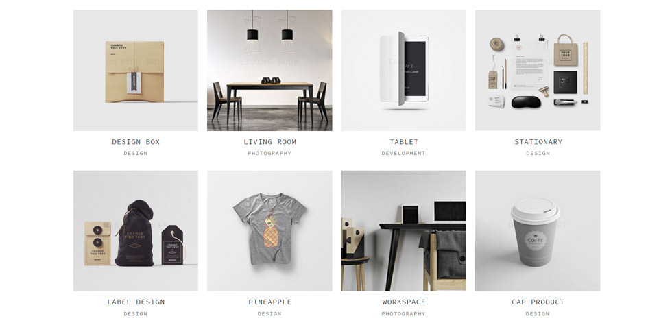 Portfolio