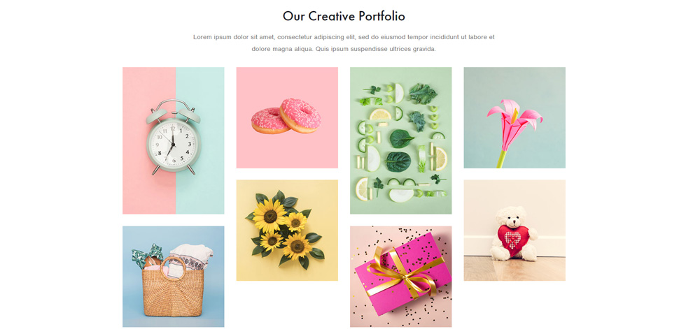 Portfolio