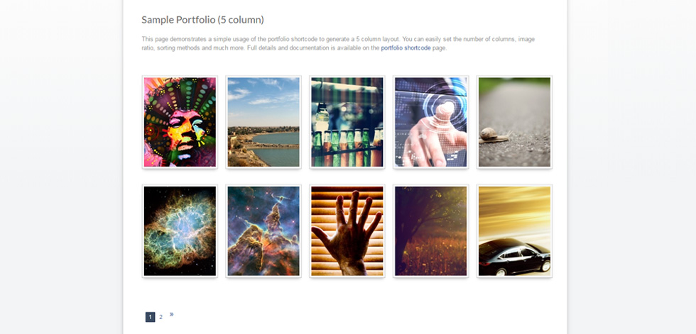 Portfolio