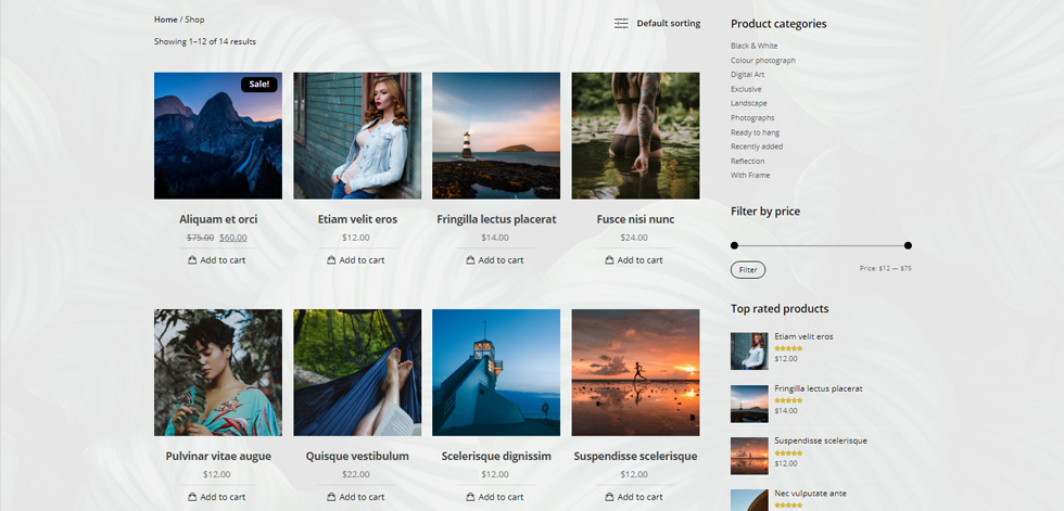 Shop page