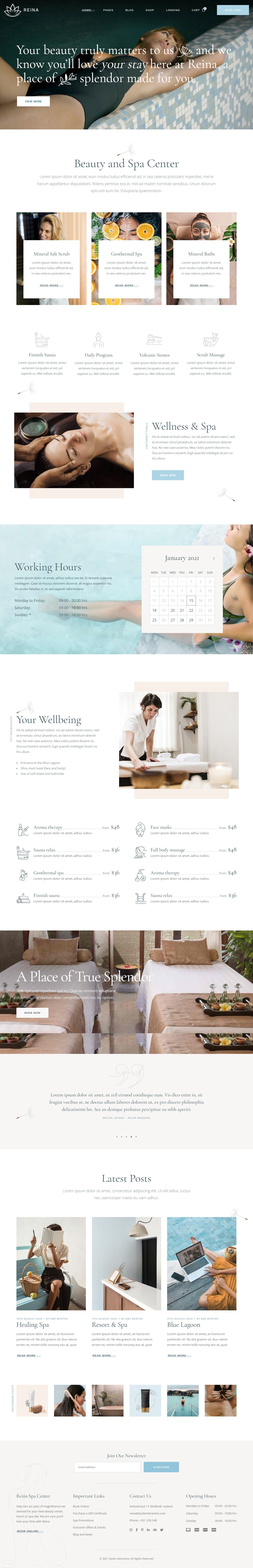 Reina WordPress WPBakery Page Builder Themes