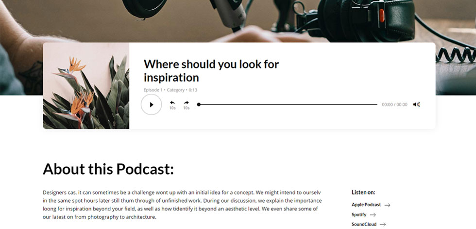 Podcast details