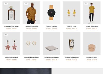 35+ Best Fashion WordPress Themes 2021