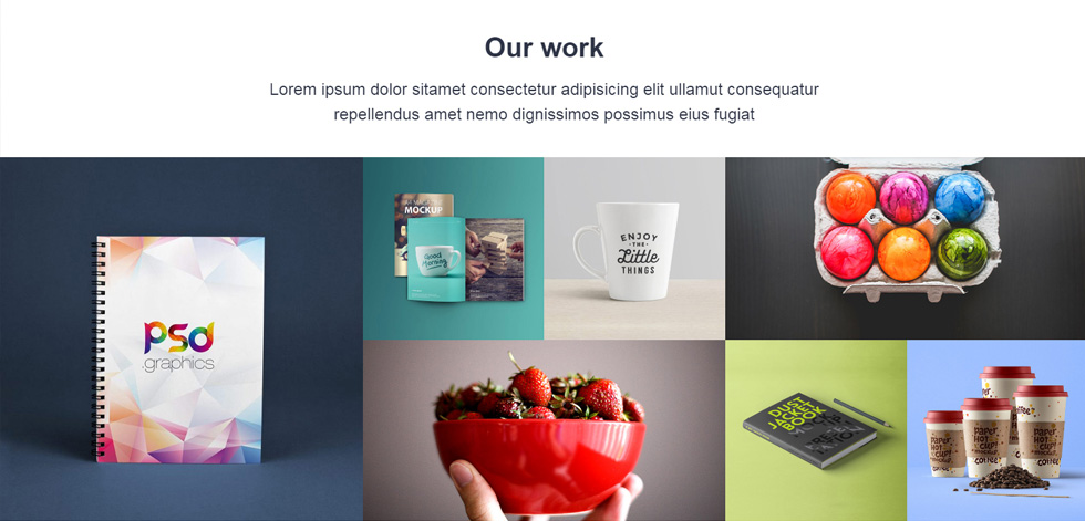 Portfolio