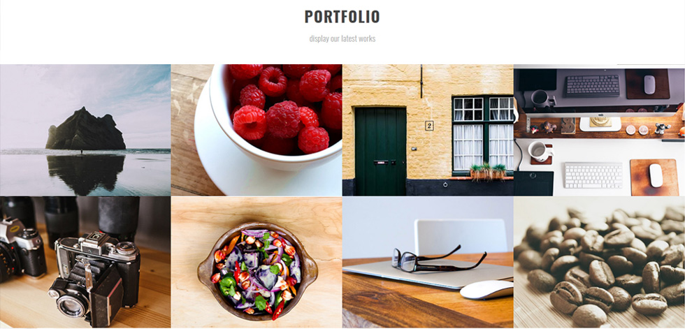Portfolio