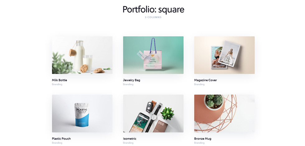Portfolio